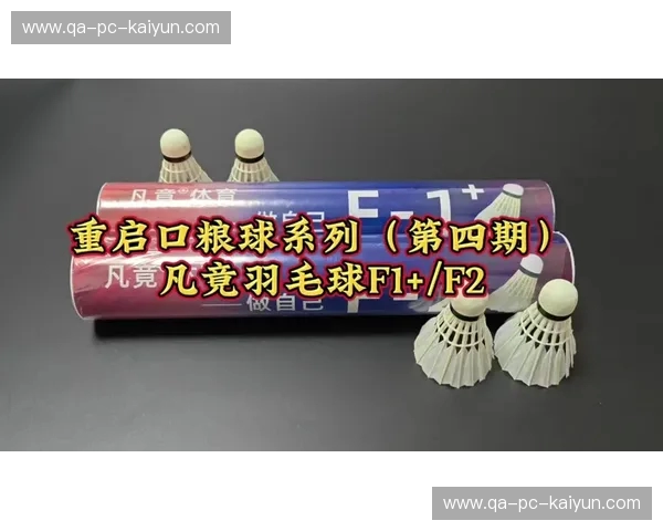 F1羽毛球：速度与掌控的革新