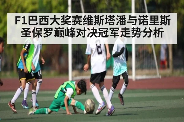 F1巴西大奖赛维斯塔潘与诺里斯圣保罗巅峰对决冠军走势分析